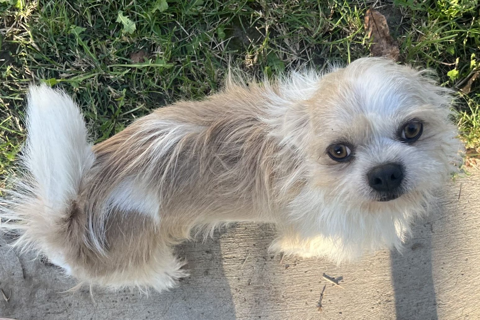 El Chupa