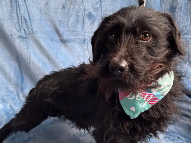 Paolo