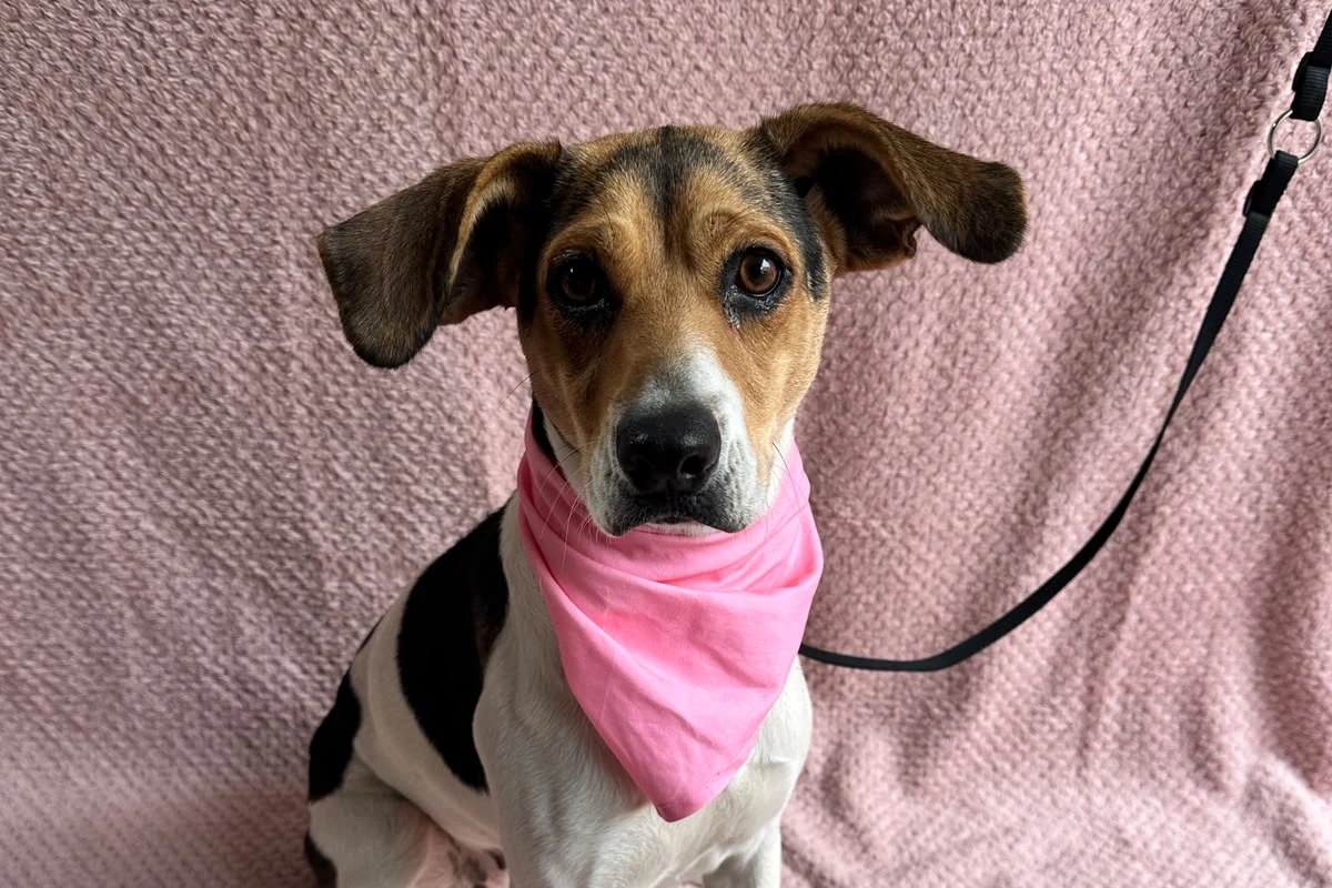 Maggie